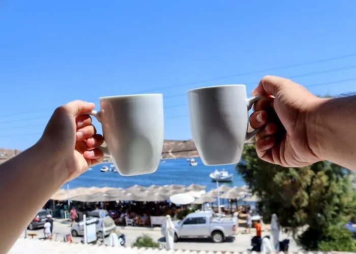 Akti And Gasthuis Livadi (Serifos)